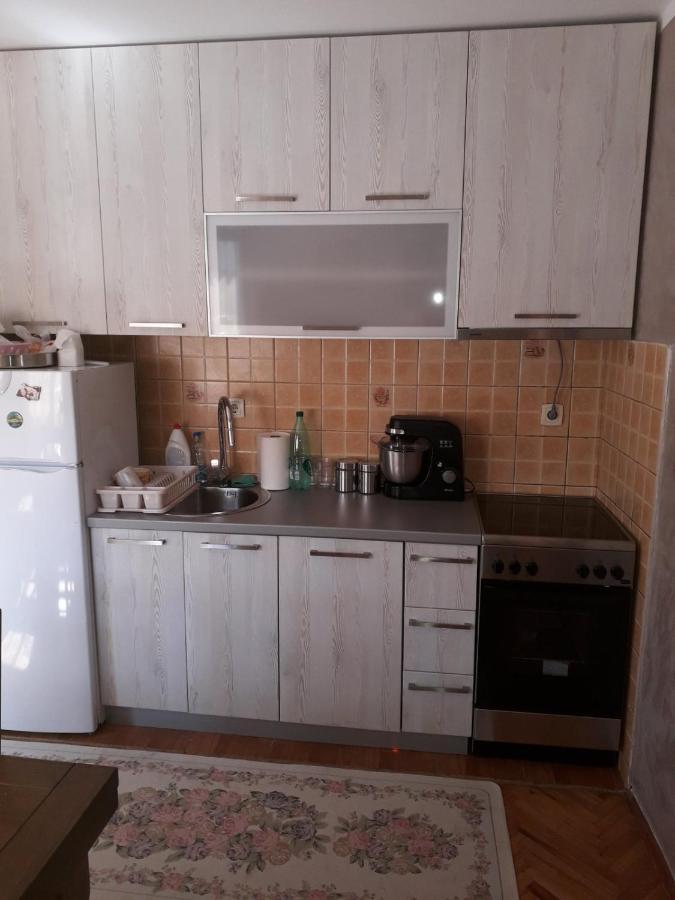 Apartment Stana Petrovac Exteriér fotografie