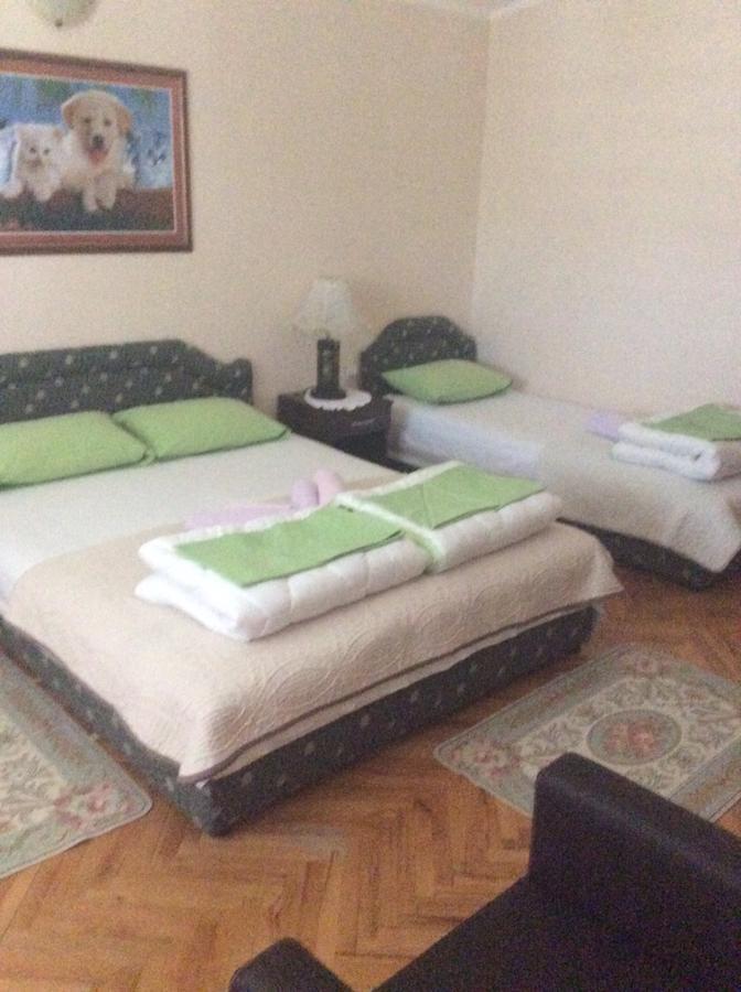 Apartment Stana Petrovac Exteriér fotografie
